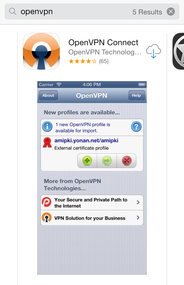 download the last version for ios OpenVPN Client 2.6.5